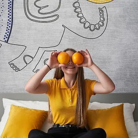 Ibis Styles Hotel 3*